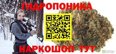 ALPHA PVP Когалым