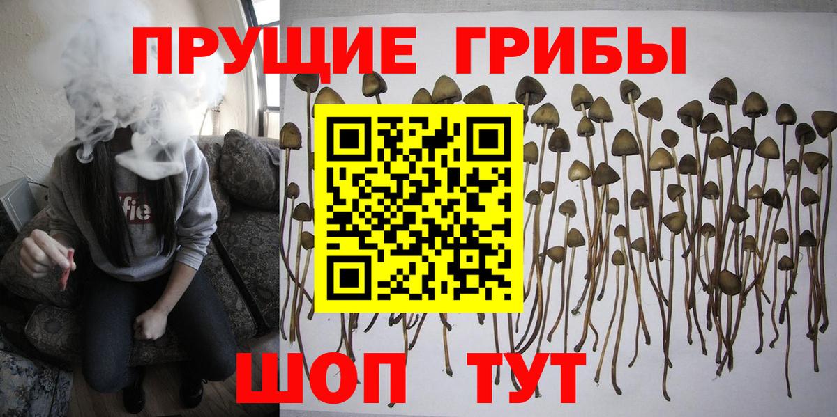 Галлюциногенные грибы ЛСД  Вход с VPN  Томск  Галлюциногенные грибы прущие грибы 